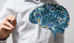 cerebro