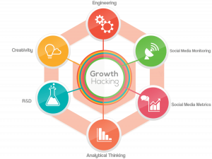 growth hacker