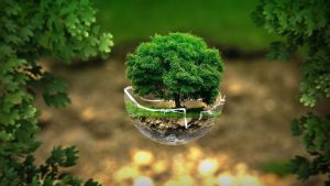 sostenibilidad ambiental