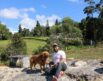 rocco mi perro eterno