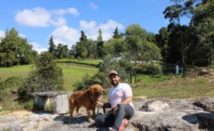 rocco mi perro eterno