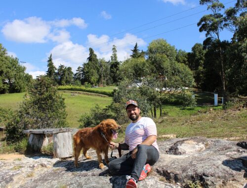 rocco mi perro eterno